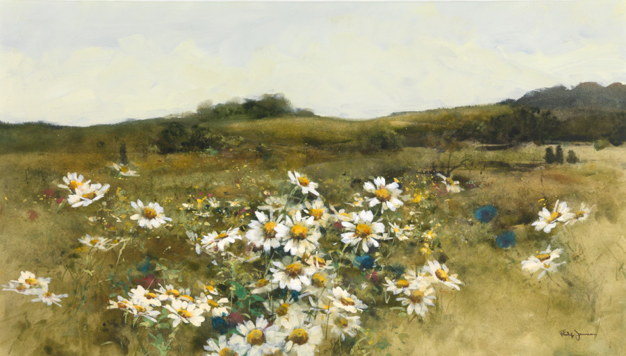 Field Of Daisies Edgartown Art Gallery Martha's Vineyard